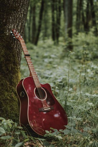 A vertical selective shot of a red acoustic guitar among trees and plants