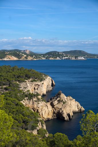 View on cliff through trees on Mallorca with blue water and town in background, vertical shot