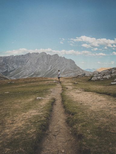 A vertical shot of a man standing on a path with a mountain in the background