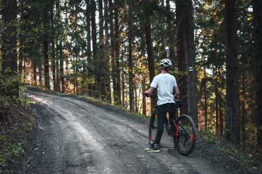 A breathtaking view of a male riding a bicycle on the dirt road surrounded with tall trees  