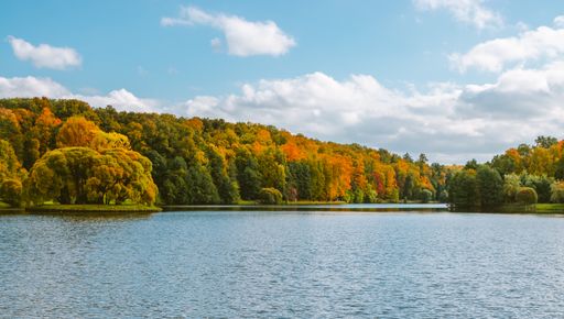 A beautiful shot of yellowing trees and a calm lake on an autumn day