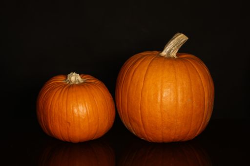 A couple of orange-colored pumpkins isolated on a black background.