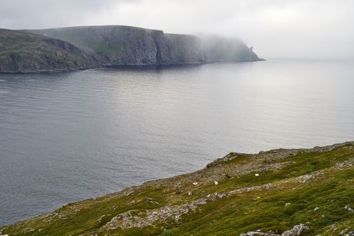 A beautiful scene of landscape with grazing reindeer, green cliff on the water at Nordkapp, Norway
