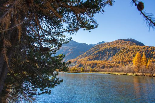A mesmerizing view of a calm lake surrounded by trees and mountains