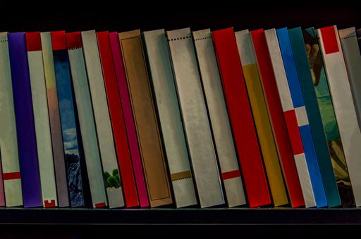 A closeup of well-organized Books shelves in the bookstore