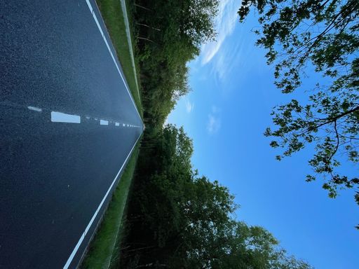 A vertical shot of a traffic road along the dense greenery against a cloudy sky