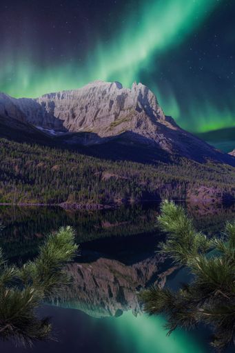 Majestic northern lights over a mountain range reflected in a tranquil lake with pine branches framing the scene.