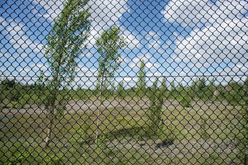 Brownfield site in urban area behind security fence.