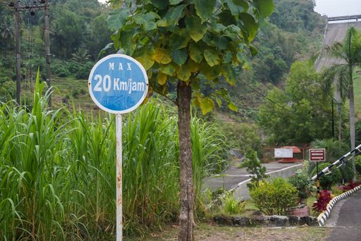 A beautiful shot of a blue sign with a speed limit of 20 km