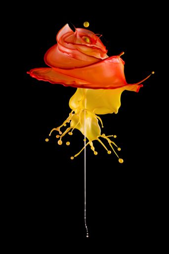 A vertical shot of a liquid rose isolated on a black background