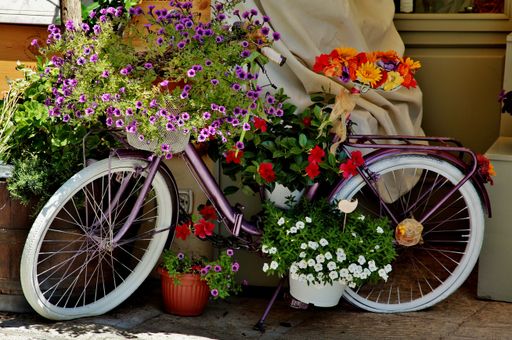 A bicycle covered with different colorful flowers in Italy
