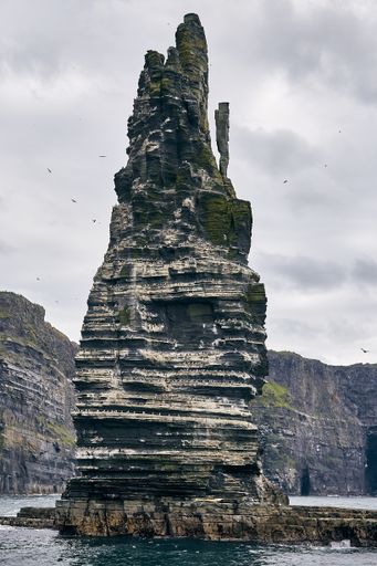 A vertical shot of the Cliffs of Moher with seagulls on it under a cloudy sky in Ireland