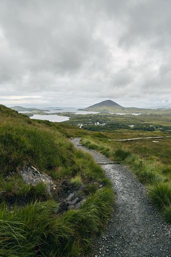 A vertical shot of the Connemara National Park covered in greenery under a cloudy sky in Ireland
