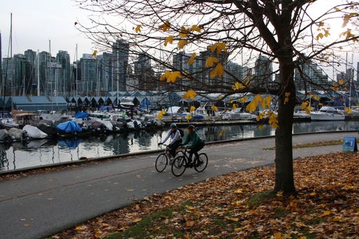 The people riding bicycles in the harbor. Vancouver, British Columbia, Canada
