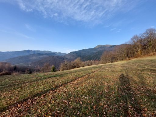 A beautiful shot of trees surrounded by mountains under a blue cloudy sky on a sunny day in fall