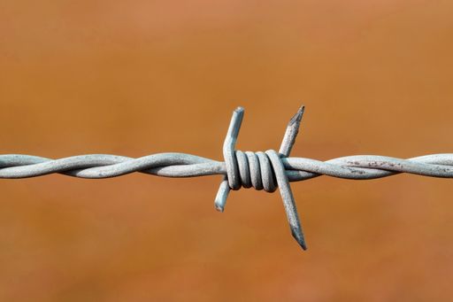 A closeup shot of a barbed-wire fence isolated on orange background