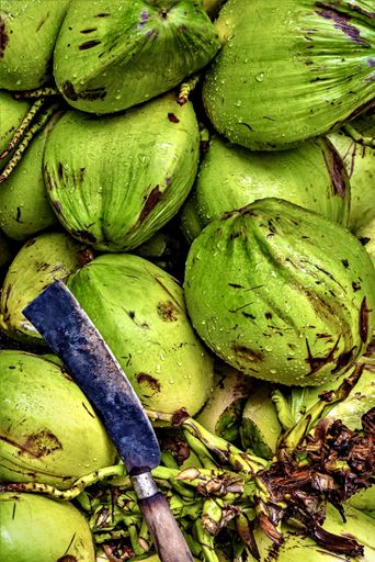 A vertical shot of fresh green coconuts