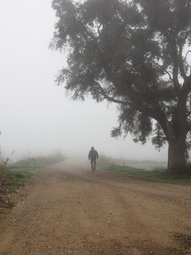 A vertical shot of a man walking alone on a route in a foggy rural area