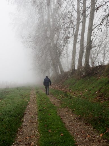 A vertical shot of a man walking alone on a route in a foggy rural area