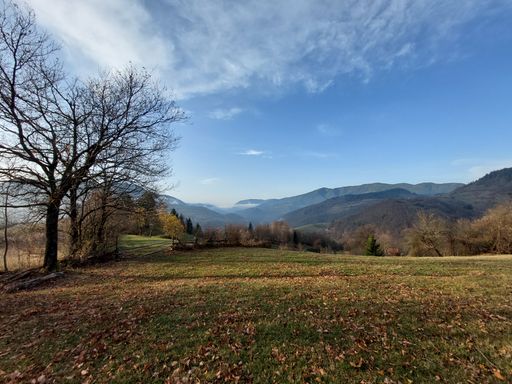 A beautiful shot of trees surrounded by mountains under a blue cloudy sky on a sunny day in fall