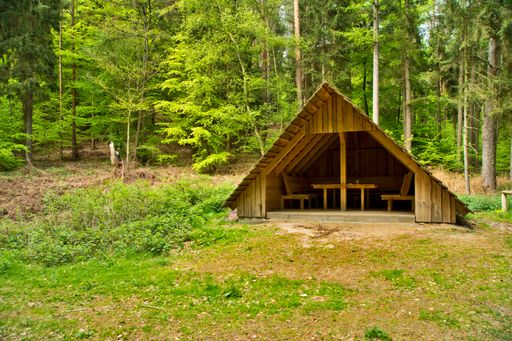 A beautiful shot of forest cabin