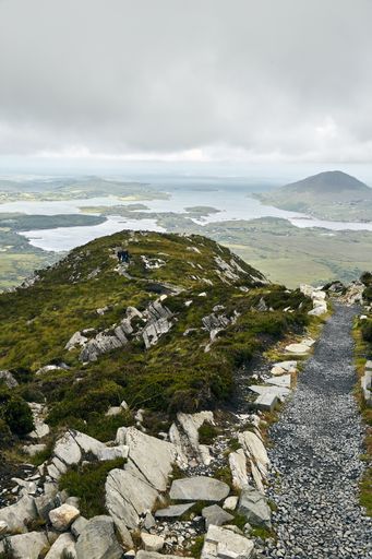 A vertical shot of a narrow pathway in Connemara National Park in Ireland under a cloudy sky