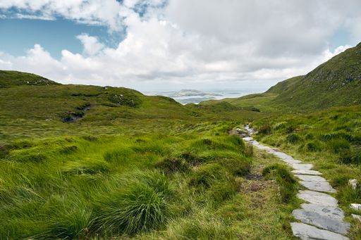 A narrow pathway in Connemara National Park in Ireland under a cloudy sky