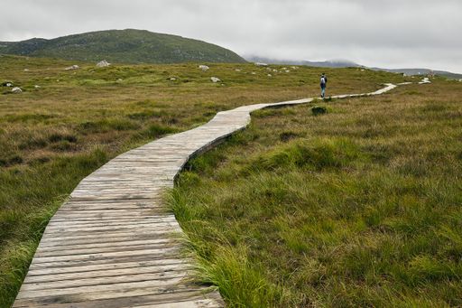 A narrow pathway in Connemara National Park in Ireland under a cloudy sky