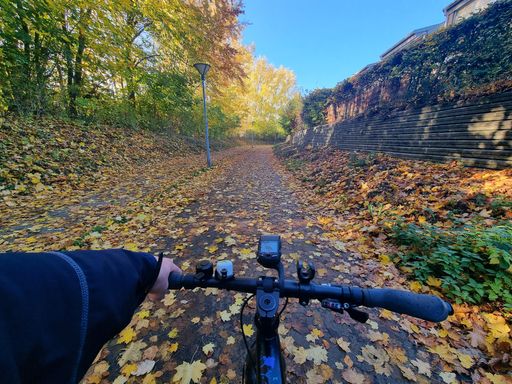 The First-Person shot of a road covered with leaves in the park from bicycle