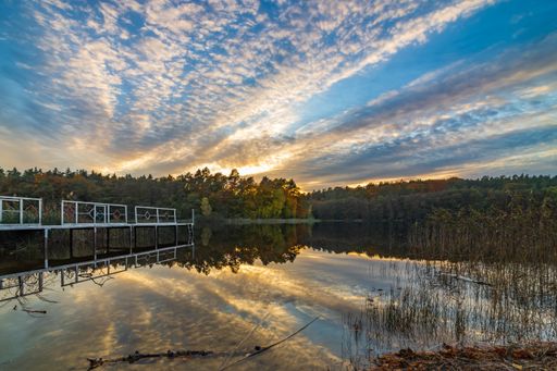 A beautiful view of a lake in Brandenburg in autumn at sunset