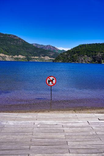A vertical shot of a "Dogs swimming prohibited" sign in San Martin de los Andes, Neuquen, Argentina