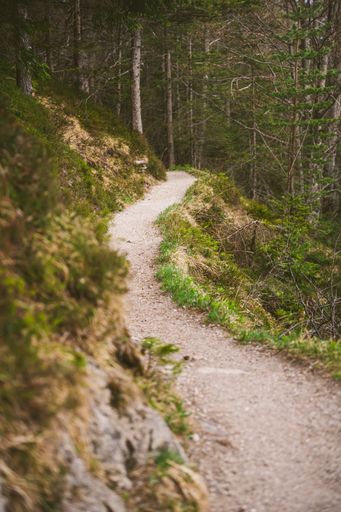A hiking trail in the Bavarian Alps during spring. Many beautiful paths lead to the mountain tops and to fantastic views