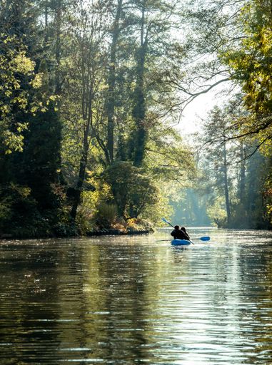 A back view of people kayaking in the canal in Lubbenau surrounded by trees on a sunny day
