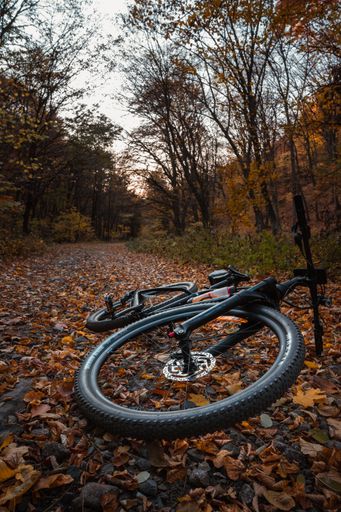 A vertical shot of a bicycle fallen on a road in a park in autumn