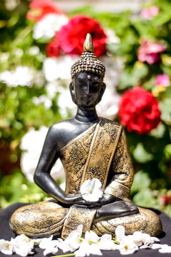 A vertical closeup of the statue of Buddha against the background of the garden.