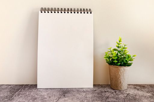 A white spiral notepad with a plant on a pastel background