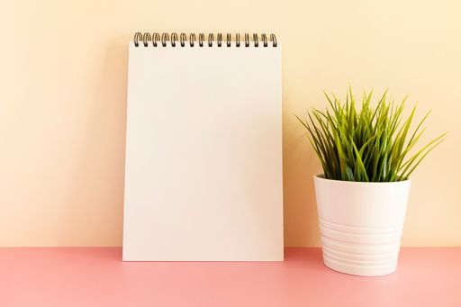 A white spiral notepad with a plant on a pastel background
