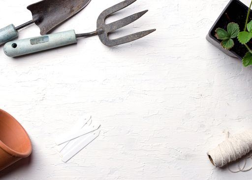 Various gardening tools isolated on a white grunge background