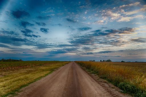 A landscape view of the road surrounded by fields