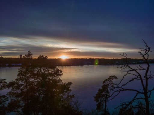 A beautiful shot of sunrise on the lake with trees on its edge