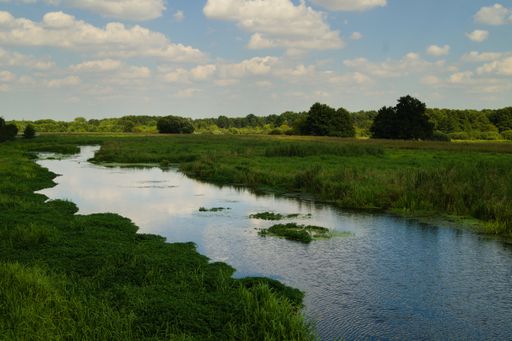 A beautiful shot of a river surrounded by greenery under a blue cloudy sky during the day