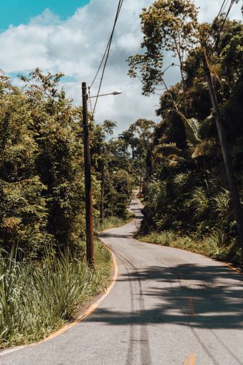 A beautiful landscape of a weird curvy road in Rio de Janeiro jungle