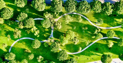 An aerial view of a beautiful green park in Fort Lauderdale, Florida