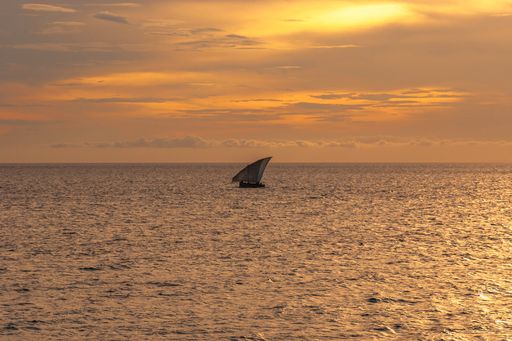 Traditional Fisherman's Dhow boat aka Faluka sailing the sunset near Stonetown, Zanzibar Island, Tanzania, Africa.