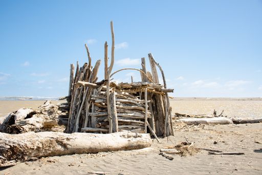 A beach hut made of sticks and driftwood on a sunny day in New Zealand