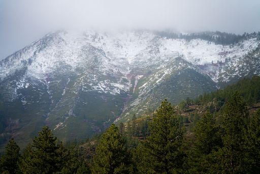 A tall snowy mountain in the countryside with dense fog blocking the sunlight over lush green trees