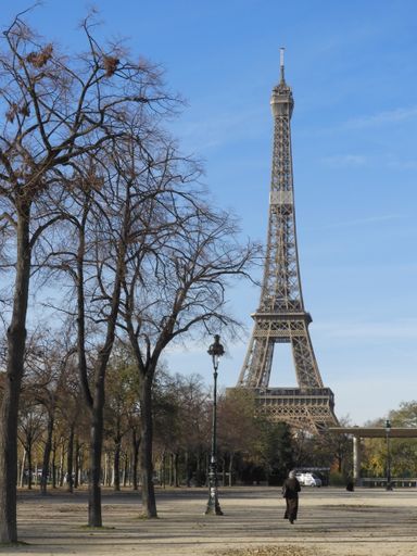 A vertical shot of a park with a view of the Eiffel Tower
