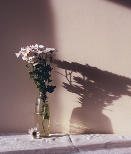 A beautiful bouquet of daisy flowers in a transparent glass vase under the sunlight on a table