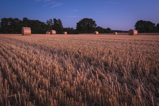 A beautiful shot of straw balls during harvest time in Lower Saxony, Germany