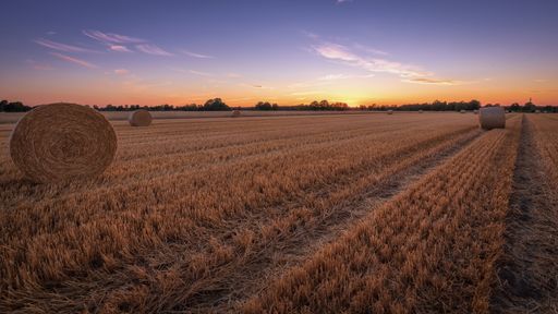 A beautiful shot of straw balls during the sunset